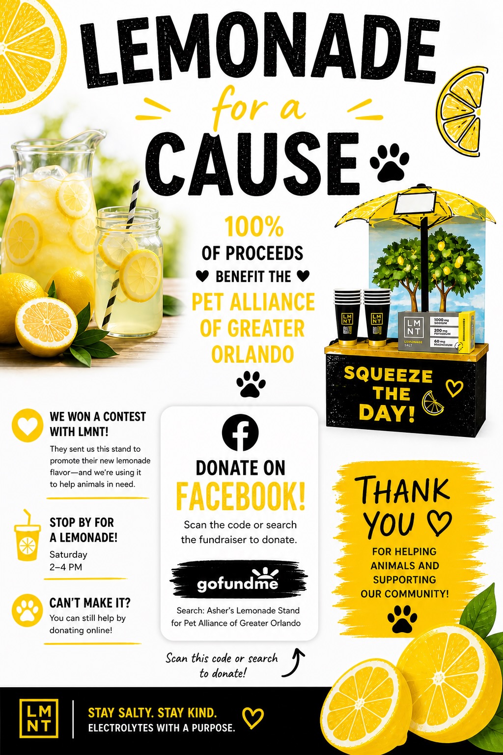 Lemonade for a Cause campaign poster, in partnership with LMNT, benefiting the Pet Alliance of Greater Orlando